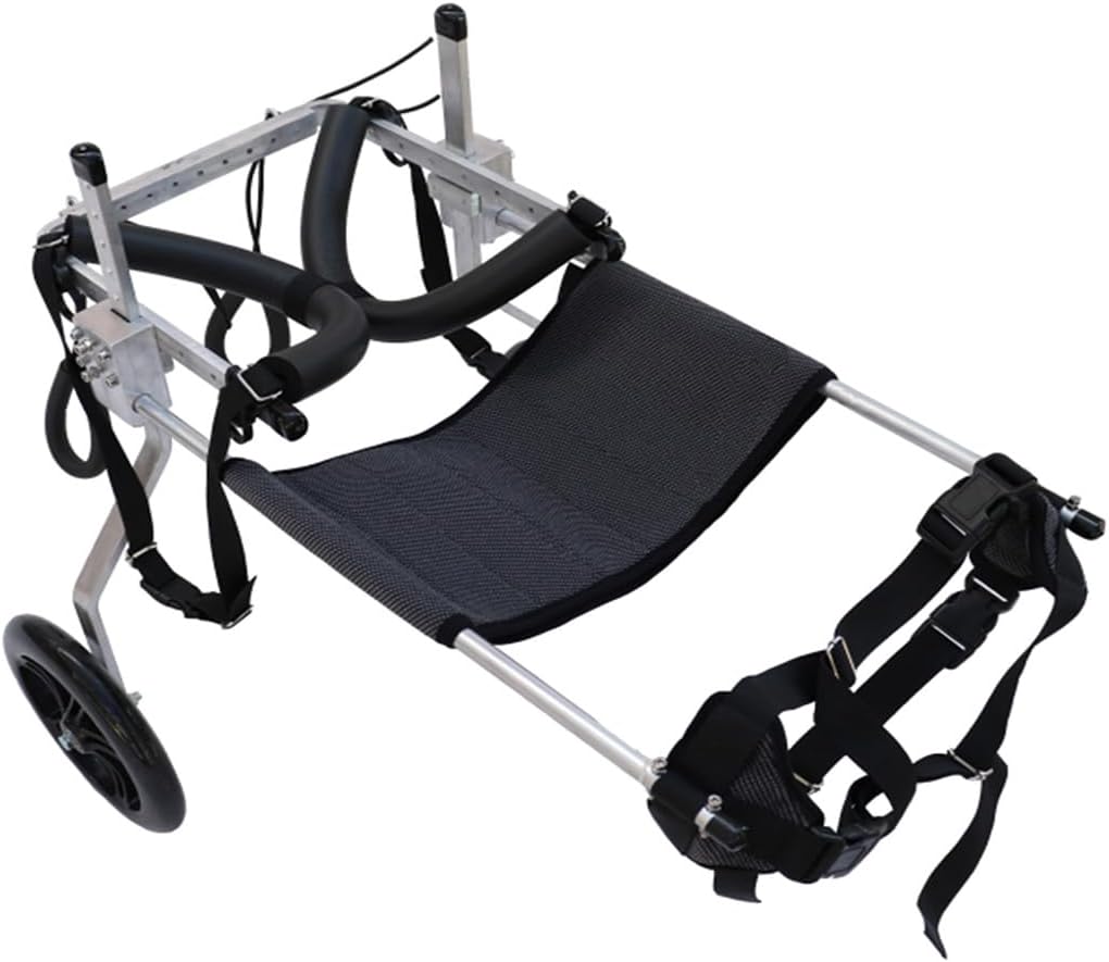 2 Räder Verstellbarer Hunderollstuhl Für Tierhinter Beine Rehabilitation Scooter Pour Animaux Hund H