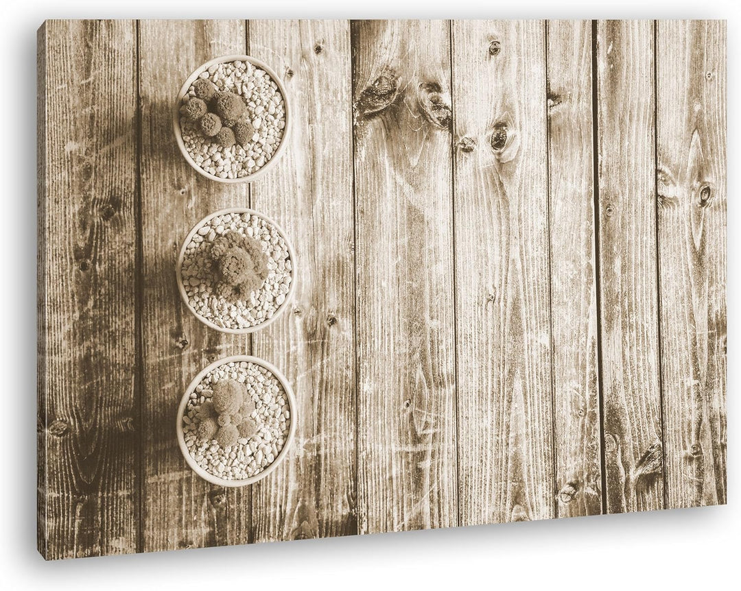 deyoli winzige Kakteen Format: 80x60 Effekt: Sepia als Leinwand, Motiv fertig gerahmt auf Echtholzra