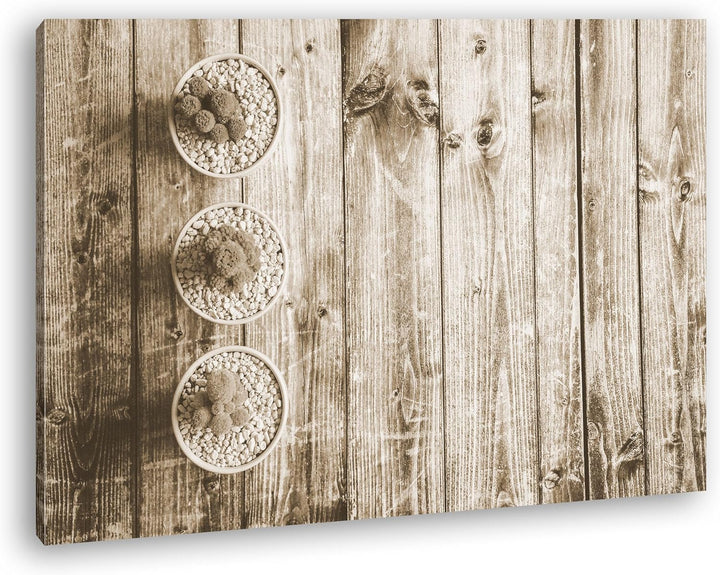 deyoli winzige Kakteen Format: 80x60 Effekt: Sepia als Leinwand, Motiv fertig gerahmt auf Echtholzra