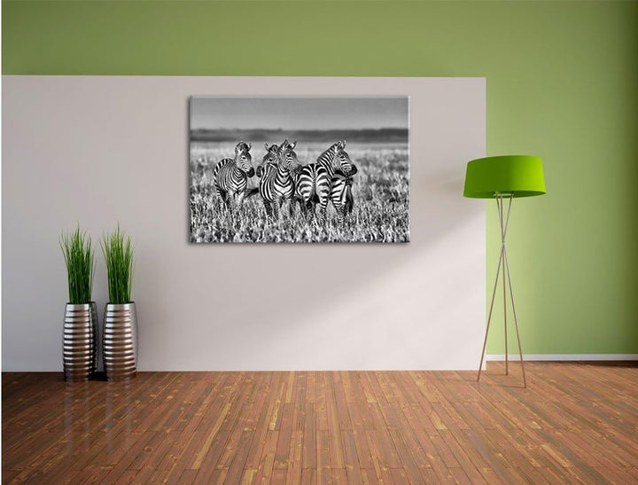 Pixxprint kleine Zebrahorde als Leinwandbild/Grösse: 100x70 cm/Wandbild/Kunstdruck/fertig bespannt,