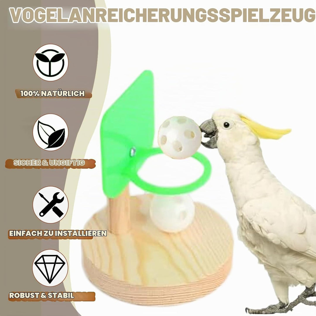 WisherMar 5 Stück Vogelspielzeug für Papageien, Training – Trainingsspielzeug mit Tretroller, Basket