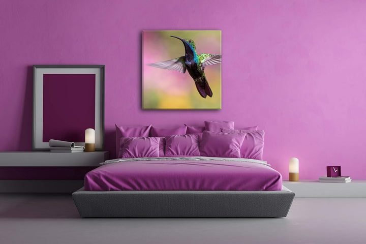 deyoli flinker Kolibri Format: 60x60 als Leinwand, Motiv fertig gerahmt auf Echtholzrahmen, Hochwert