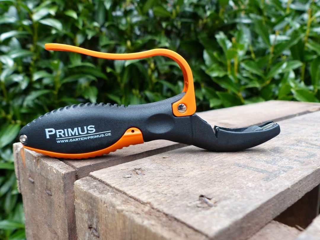 Garten Primus Multifunktions-Schleifer, schwarz/orange, 14,9 x 8,6 x 1,9 cm, 03000 Single, Single
