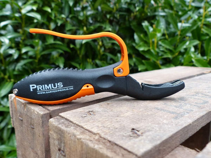 Garten Primus Multifunktions-Schleifer, schwarz/orange, 14,9 x 8,6 x 1,9 cm, 03000 Single, Single