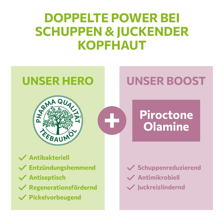 alkmene Mein Teebaumöl Anti Schuppen Shampoo 3x 200 ml - weniger Schuppen in 2 Wochen - Shampoo gege