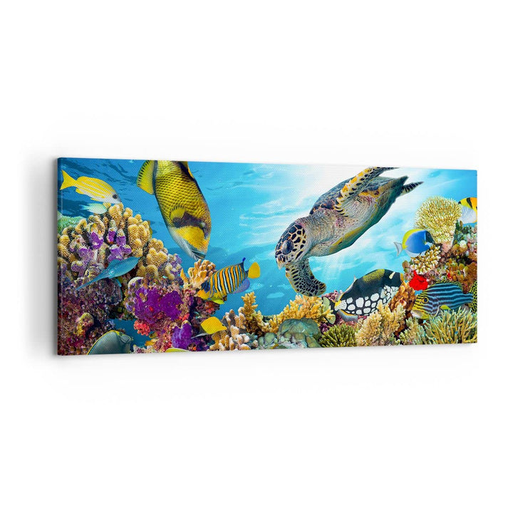 Wandbilder Dekoration Wohnzimmer Riff Koralle Fisch Panorama Bilder auf Leinwand 120x50cm Leinwandbi