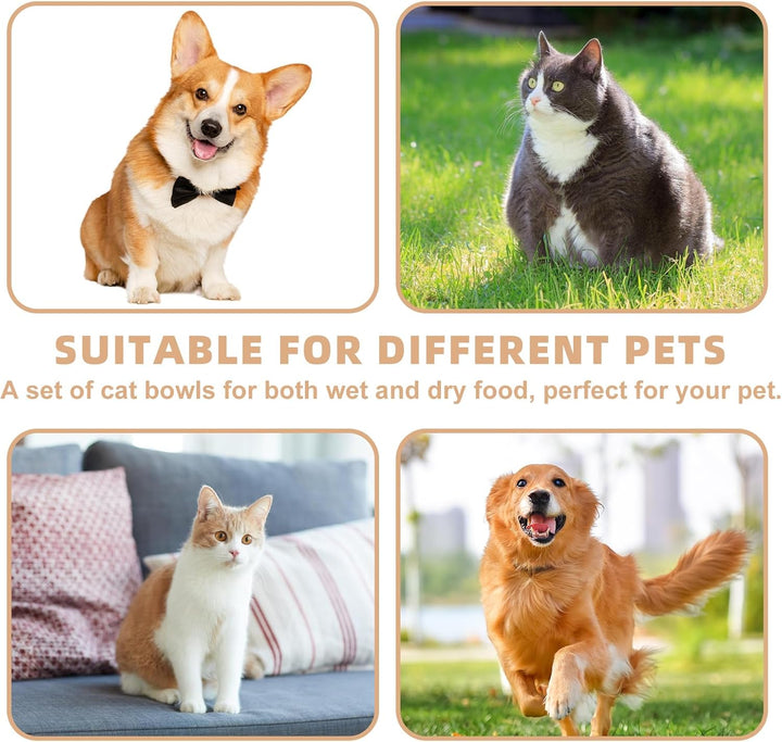 Automatischer Futterspender, Timer Futterautomat mit rutschfeste Matte Katze & Hund Futterautomat Ka