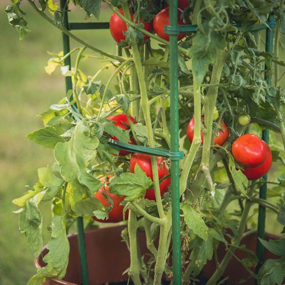 12 Stück Tomaten Spalier Verbinder, Pflanzenstütze Rankstab Stange Stab Tomatenstäbe Verbinder Pflan