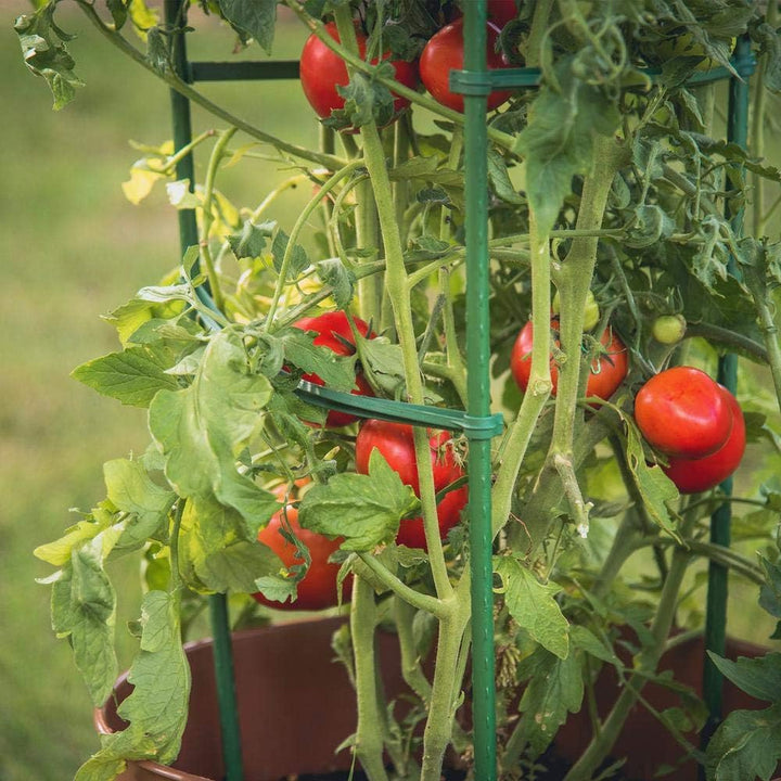 12 Stück Tomaten Spalier Verbinder, Pflanzenstütze Rankstab Stange Stab Tomatenstäbe Verbinder Pflan