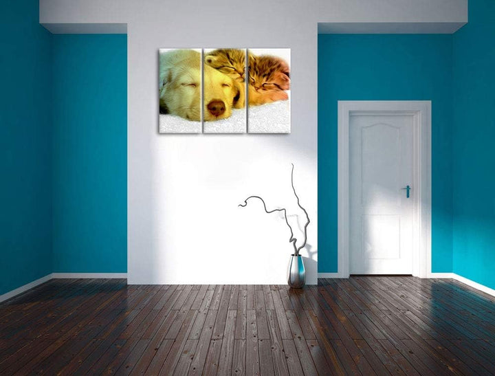 niedlicher Welpe kuschelt mit süssen Kätzchen schwarz/weiss 3-Teiler Leinwandbild 120x80 Bild auf Le
