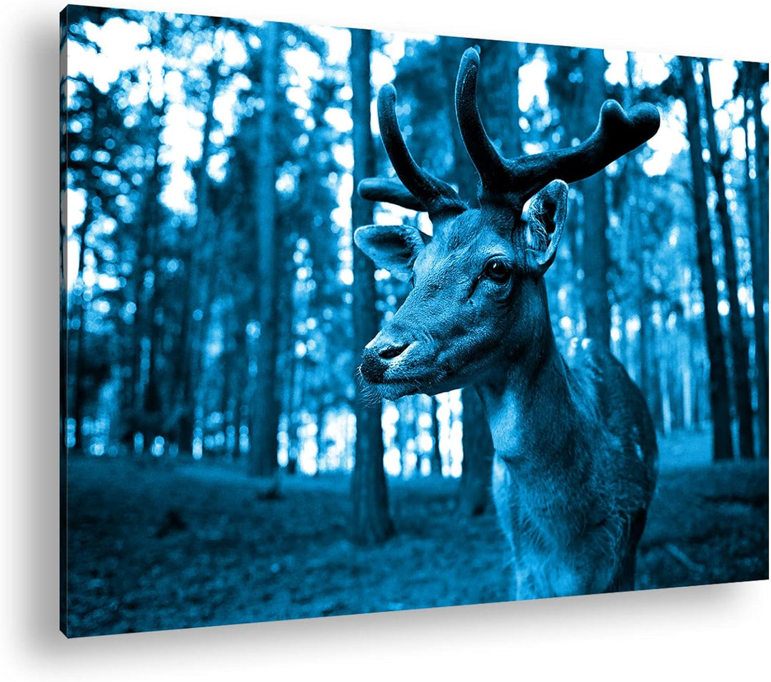 deyoli Traumhafter Hirsch Format: 80x60 Effekt: Monocrome Blau als Leinwandbild, Motiv fertig gerahm