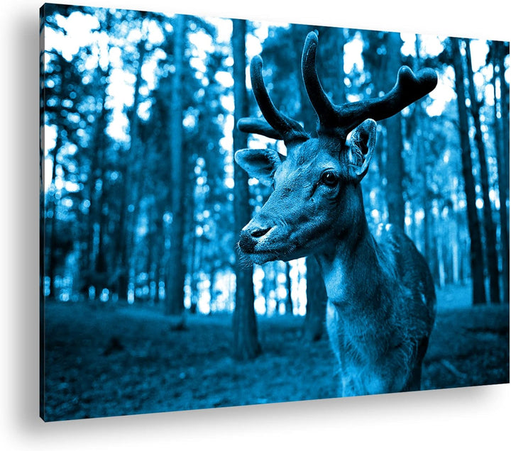 deyoli Traumhafter Hirsch Format: 80x60 Effekt: Monocrome Blau als Leinwandbild, Motiv fertig gerahm