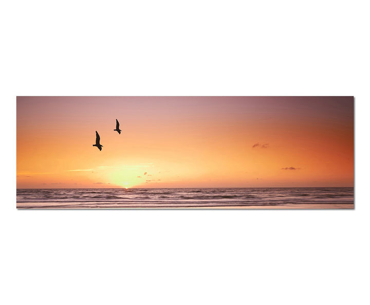 Paul Sinus Art Panoramabild auf Leinwand und Keilrahmen 150x50cm Strand Meer Sonnenuntergang Möwen