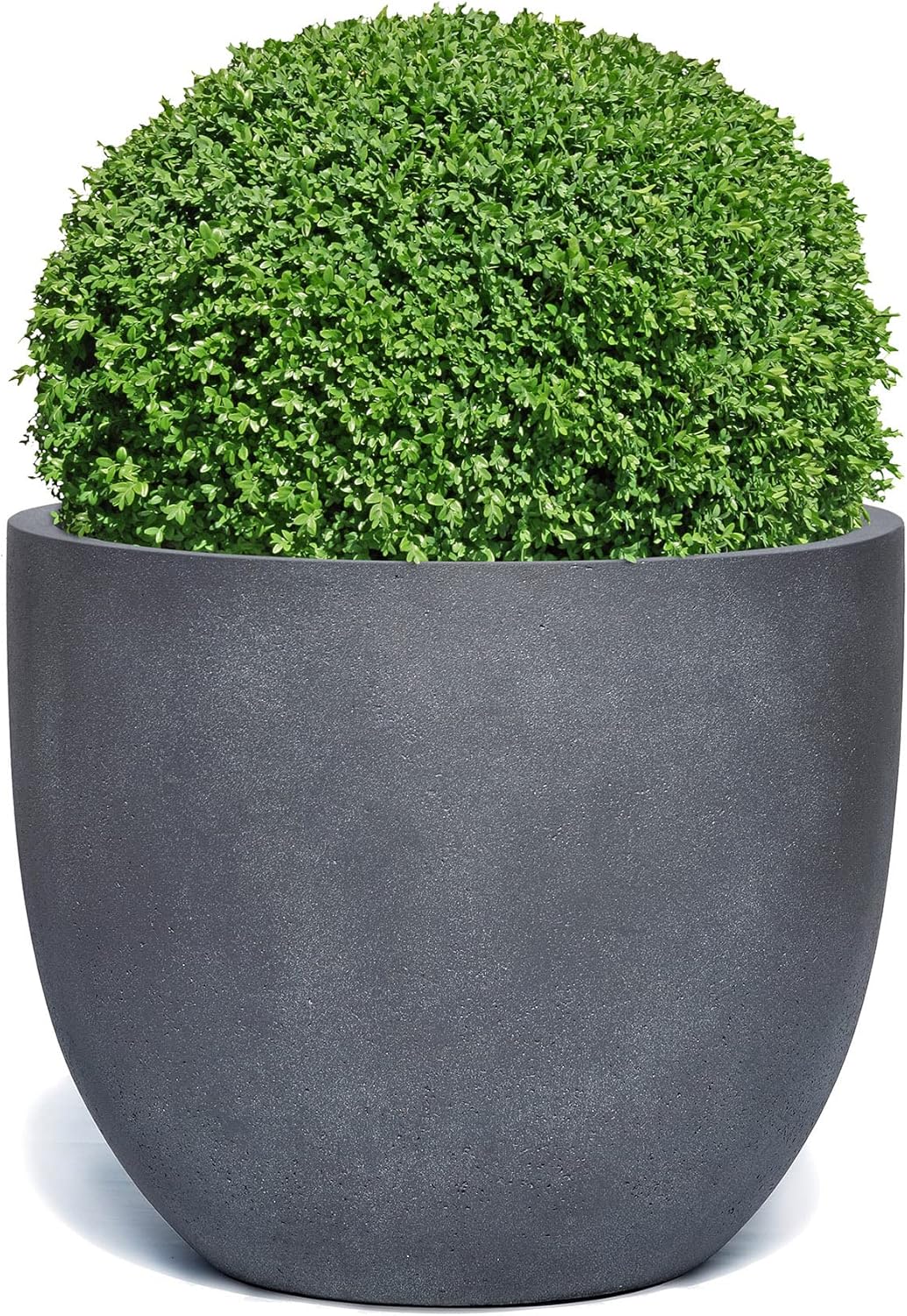 ESCHBACH® Pflanzkübel Egg Pot 60 Blei Grau Rund XL * 55 x 55 x 46 cm * 10 Jahre Garantie 55x55x46, 5