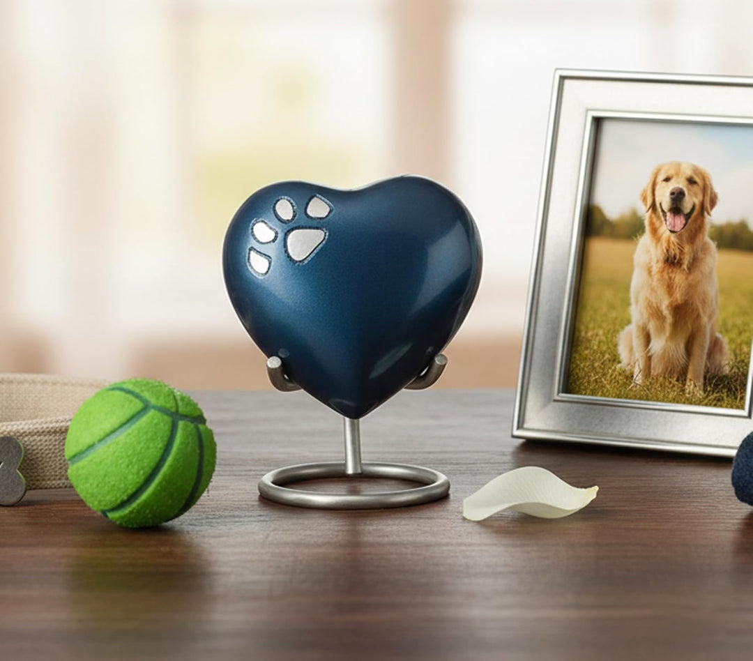 eSplanade Pet Urne Memorial Container Jar Pot | Messingurne | Urne aus Metall | Bestattungsurne | De