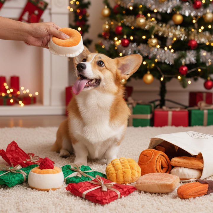 Nocciola 10 Stück Brot-Hundespielzeug mit Tragetasche, quietschendes, langlebiges Hundespielzeug geg