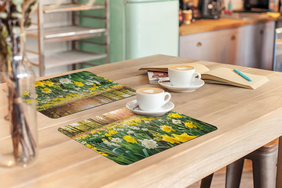 KitchenYeah© Platzsets Abwaschbar 6-Teilig 45x30 cm Tischsets Platzdeckchen Platzset Unterlage Tisch