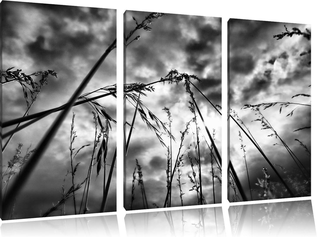 Pixxprint Düsteres Gras vorm Regen als Leinwandbild/Grösse: 3 Teilig (120x80) cm/Wandbild/Kunstdruck