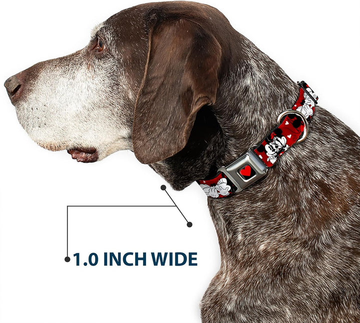 Buckle Down Sicherheitsgurt-Schnalle, Hundehalsband – Mickey & Minnie HUGS & Kisses Posen Rot/Weiss