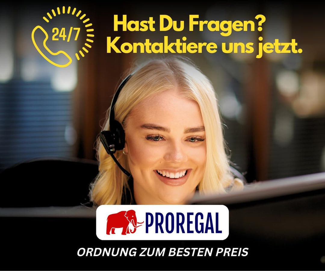PROREGAL Profi Transportroller Hercules 30x60 cm Schwerlast bis 200 kg mit 4 Gummirollen & Griff, Si