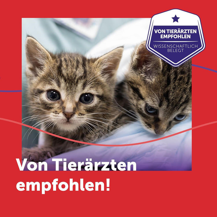 FELIWAY Friends Vorteilspack für Katzen | 3x Nachfüllflakon | reduziert Konflikte &amp; Spannungen zwisc