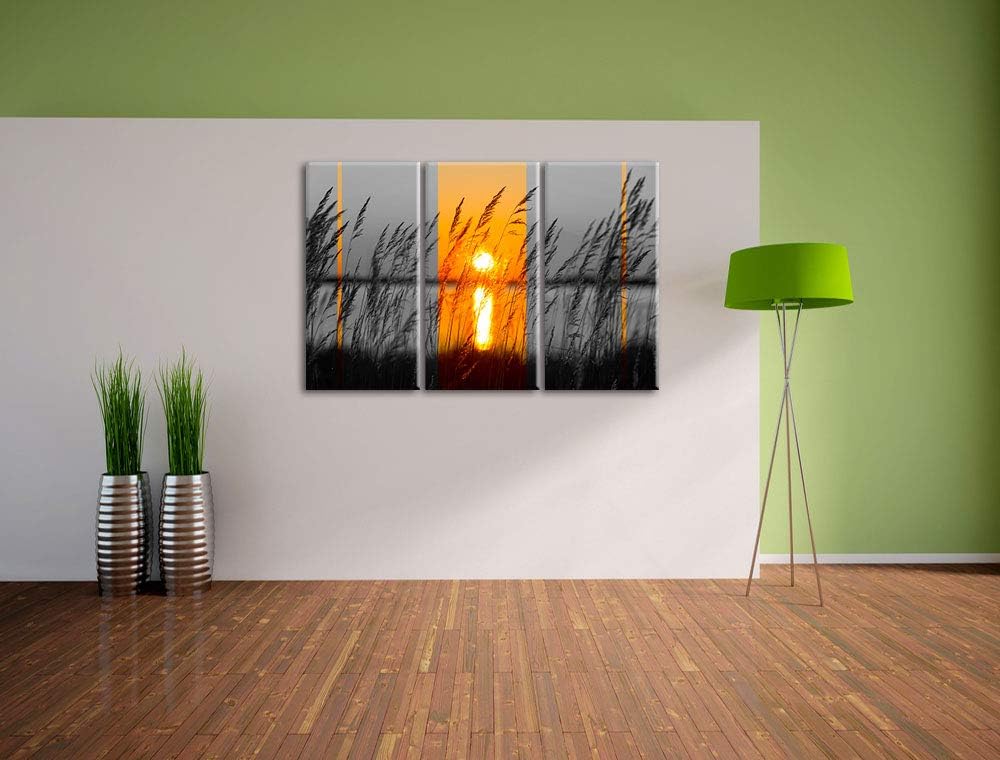 Pixxprint Gräser bei Sonnenuntergang als Leinwandbild | Grösse: 3 Teilig (120x80) | Wandbild| Kunstd