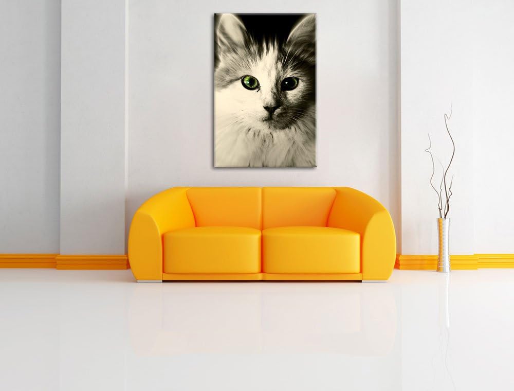 Pixxprint anmutige Katze auf Leinwand, XXL riesige Bilder fertig gerahmt mit Keilrahmen, Kunstdruck