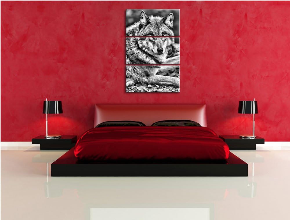 Pixxprint Monocrome, stolzer Wolf auf Stein 3-Teiler Leinwandbild 120x80 Bild auf Leinwand