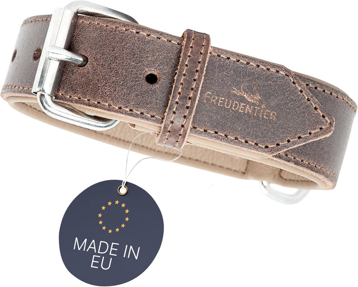 FREUDENTIER Hundehalsband aus zertifiziertem Leder - Inkl. Geschenksäckchen - Gepolstert & super kom