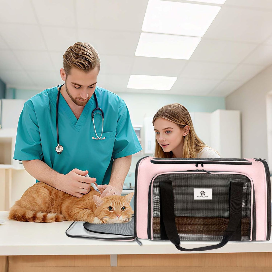 Katzentransporttasche für Katzen und kleine Hunde – Faltbar &amp; gut belüftete Hundebox. Katzentasche m