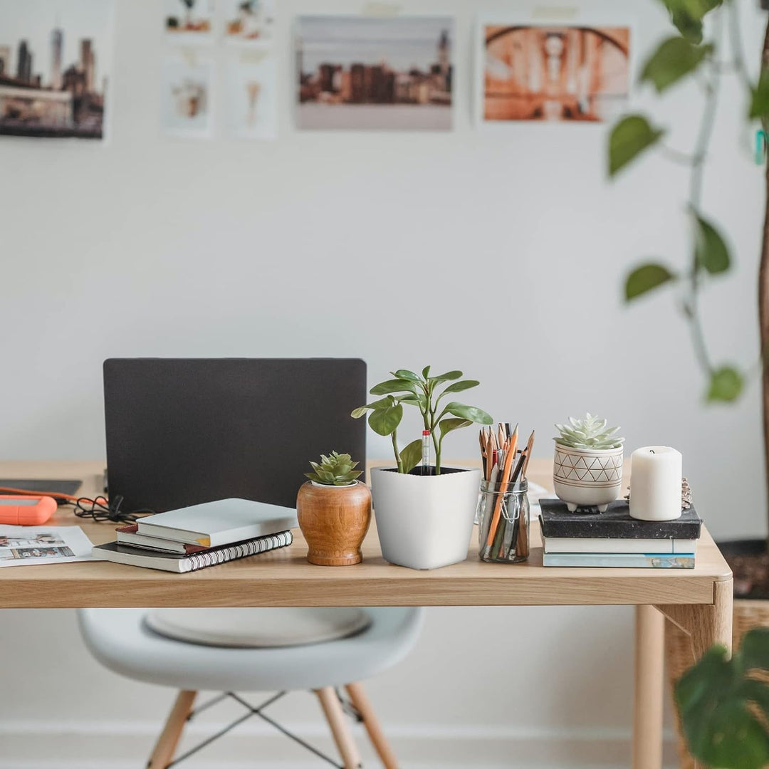 CPROSP 6X Selbstbewässerungstopf mit Wasserstandsanzeigen, Kräutertopf Selbstbewässernd 13,7 * 13,5