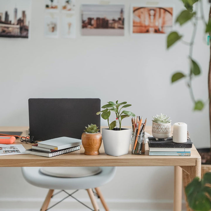 CPROSP 6X Selbstbewässerungstopf mit Wasserstandsanzeigen, Kräutertopf Selbstbewässernd 13,7 * 13,5