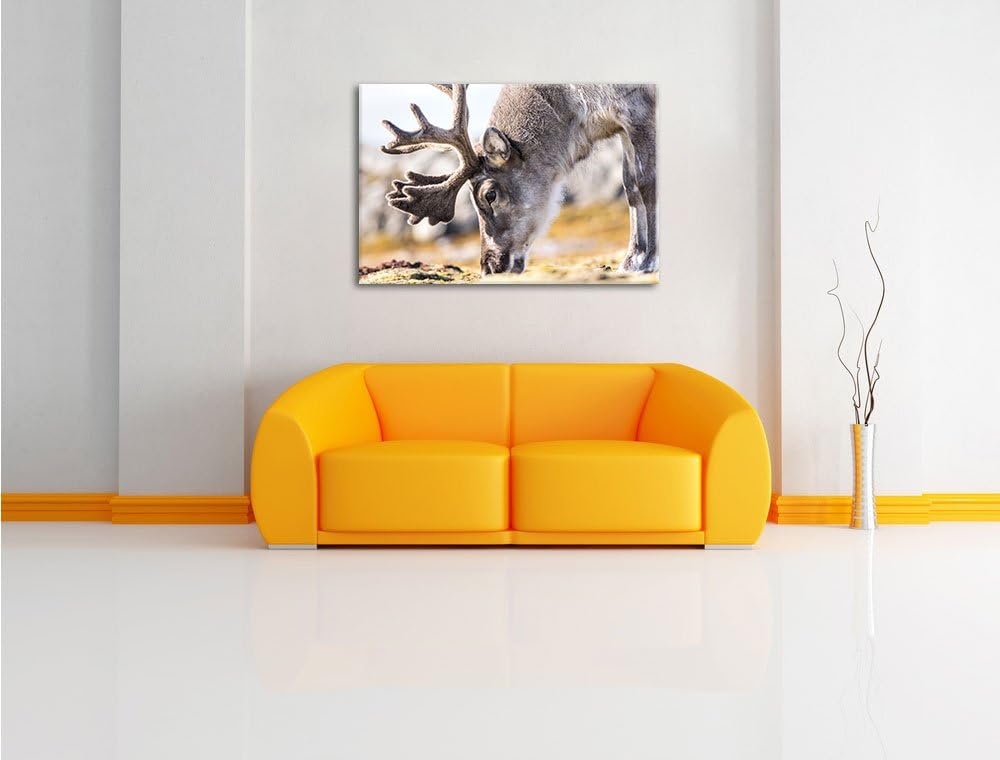 süsses Rentier beim Essen, Format: 100x70 auf Leinwand, XXL riesige Bilder fertig gerahmt mit Keilra