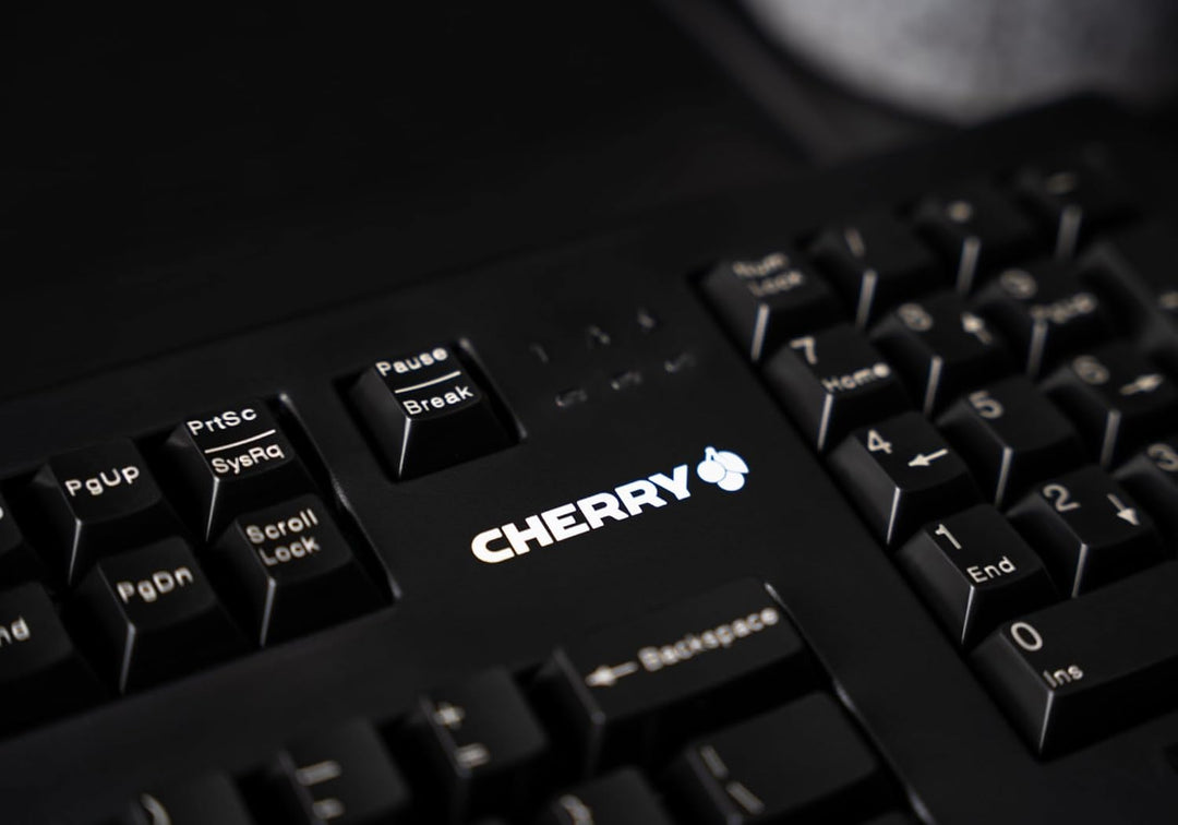 CHERRY Advanced Performance Line TouchBoard G80-11900 Tastatur (USB, Touchpad, English) schwarz