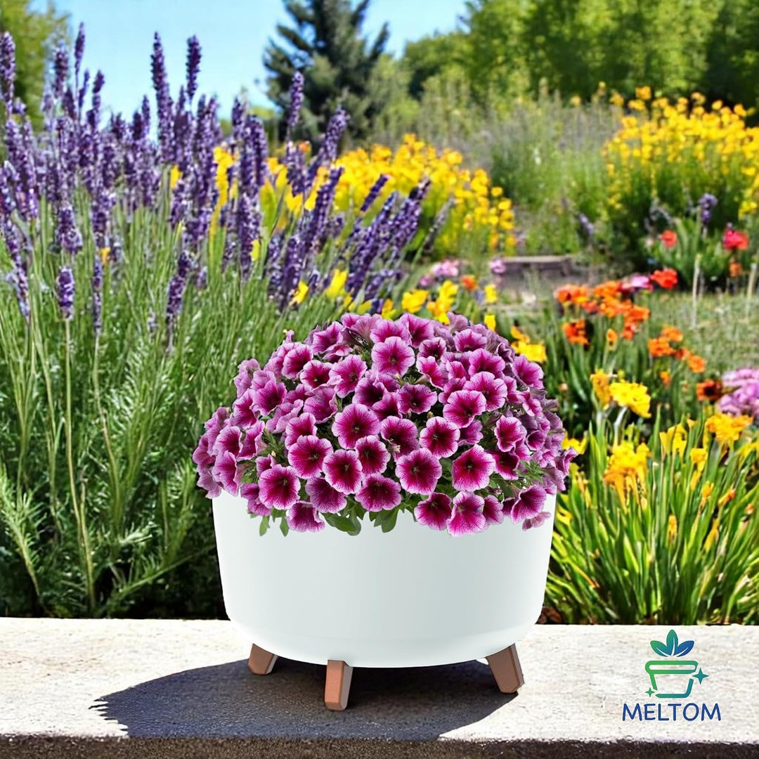 MELTOM Blumentopf Schale mit Füssen Einsatz Blumenschale Kräutertopf Übertopf, 39 cm x 27 cm (Weiss)