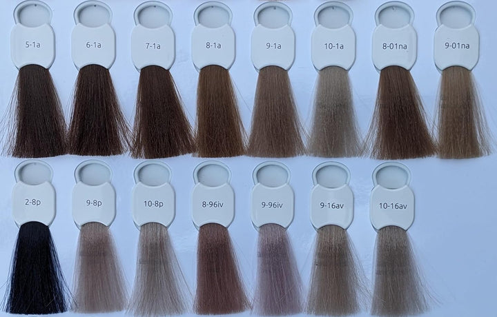 HAIR HAUS Super Brilliant Color Haarfarbe 3x 100ml + Färbepinsel spezial (10-1a), 10-1a