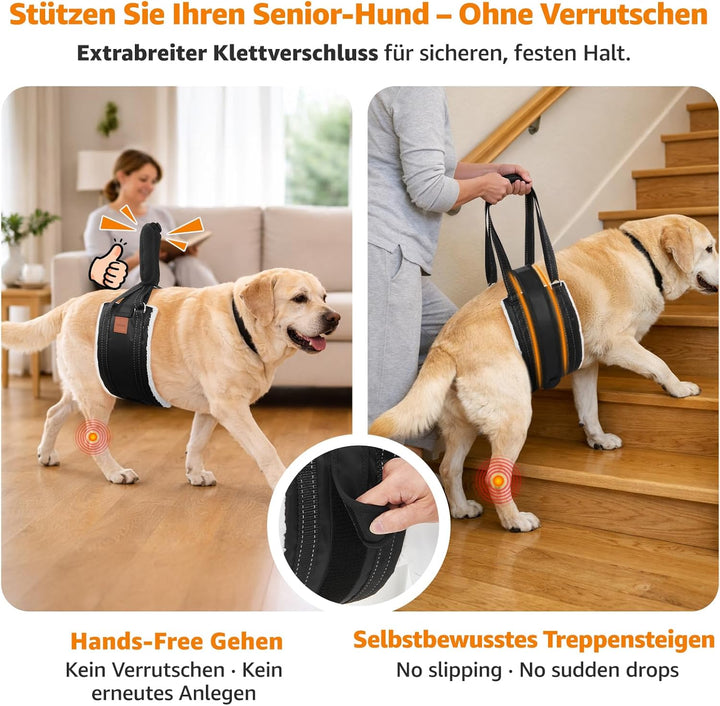 LOOBANI Hunde Tragehilfe mit Klettverschluss, verstellbare Gehhilfe für Hunde, weicher Hundetragegur