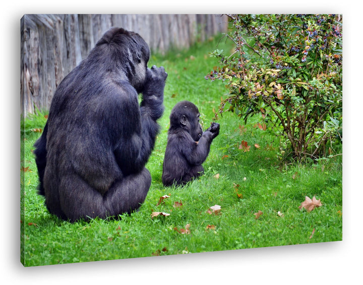 deyoli Gorillamutter mit ihrem Kind Format: 80x60 als Leinwandbild, Motiv fertig gerahmt auf Echthol