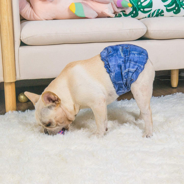 CuteBone Männlich Waschbare Hundewindeln Bauchbänder,3 Stück Wiederverwendbare hund bauchband für Rü
