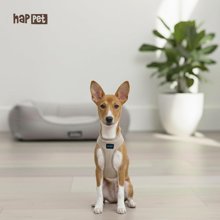 Happet Hundegeschirr XS für kleine Hunde – atmungsaktives Air-Mesh Brustgeschirr, weich gepolstert,