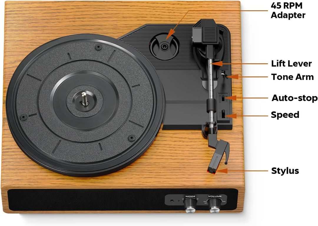 Plattenspieler, FYDEE Vinyl Plattenspieler mit Eingebauten Stereo-Lautsprechern, 3 Geschwindigkeiten