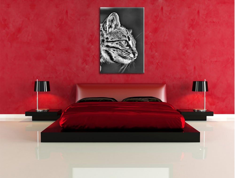 Pixxprint Bengalkatze im Profil als Leinwandbild/Grösse: 100x70 / Wandbild/Kunstdruck/fertig bespann
