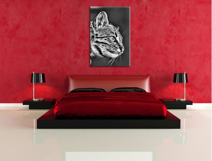 Pixxprint Bengalkatze im Profil als Leinwandbild/Grösse: 100x70 / Wandbild/Kunstdruck/fertig bespann