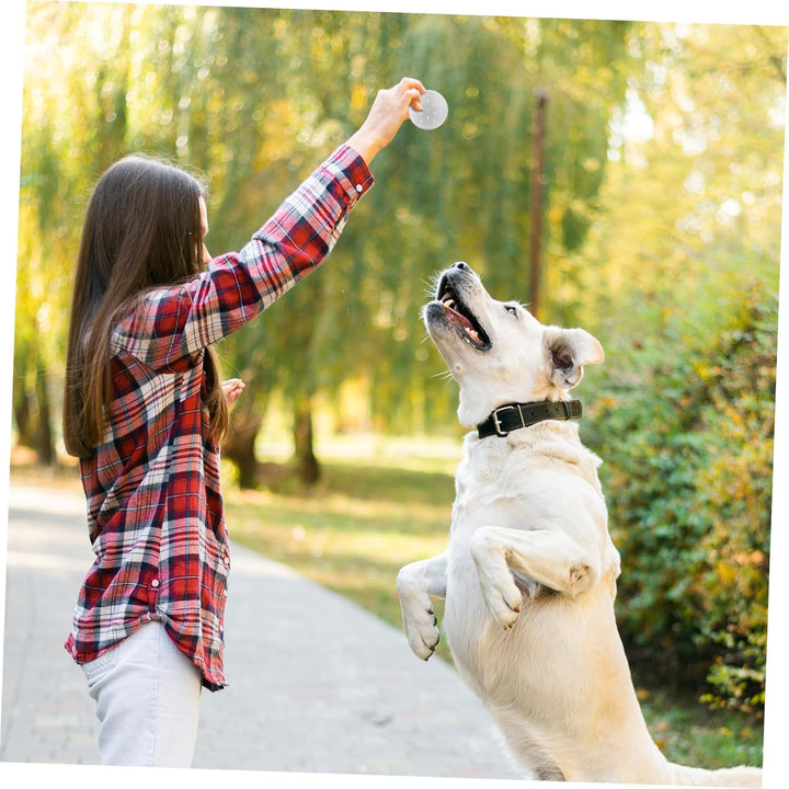 MAGICLULU Hundetraining Hunde Training Zubehör 10 Stück Hundedufttrainingsbox Geruchstrainingskanist