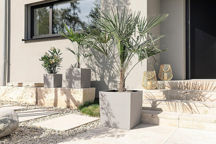 LECHUZA CUBE Cottage 50 sandbraun 15396 Garten 49x49x49,5 cm Sandbraun, Garten 49x49x49,5 cm Sandbra