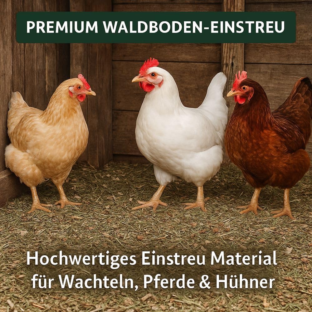 Waldboden-Einstreu 100L getrocknet – saugstark & naturbelassen – kompostierbar – staubarme Reptilien