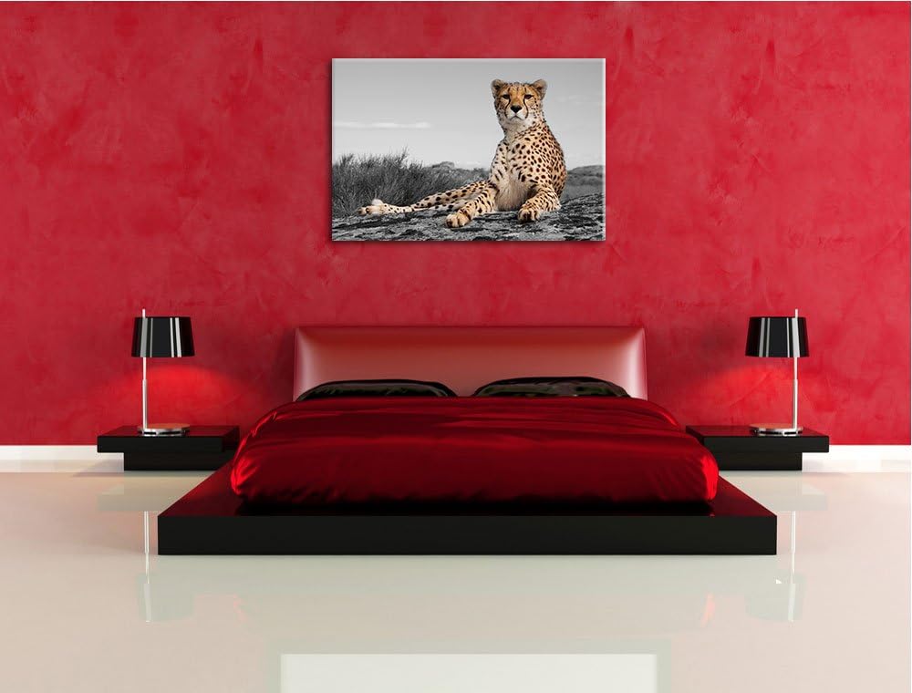 prächtiger Gepard in Savanne schwarz/weiss Format: 100x70 auf Leinwand, XXL riesige Bilder fertig ge