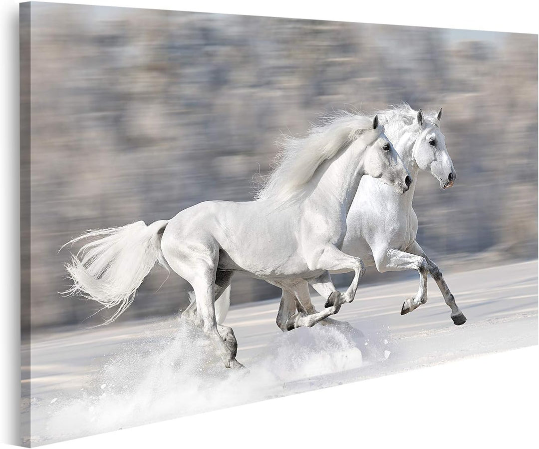 islandburner Bild auf Leinwand Zwei Weisse Pferde Winterlauf Galopp Bilder Wandbilder Poster, 80L x