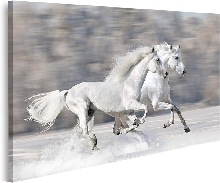 islandburner Bild auf Leinwand Zwei Weisse Pferde Winterlauf Galopp Bilder Wandbilder Poster, 80L x