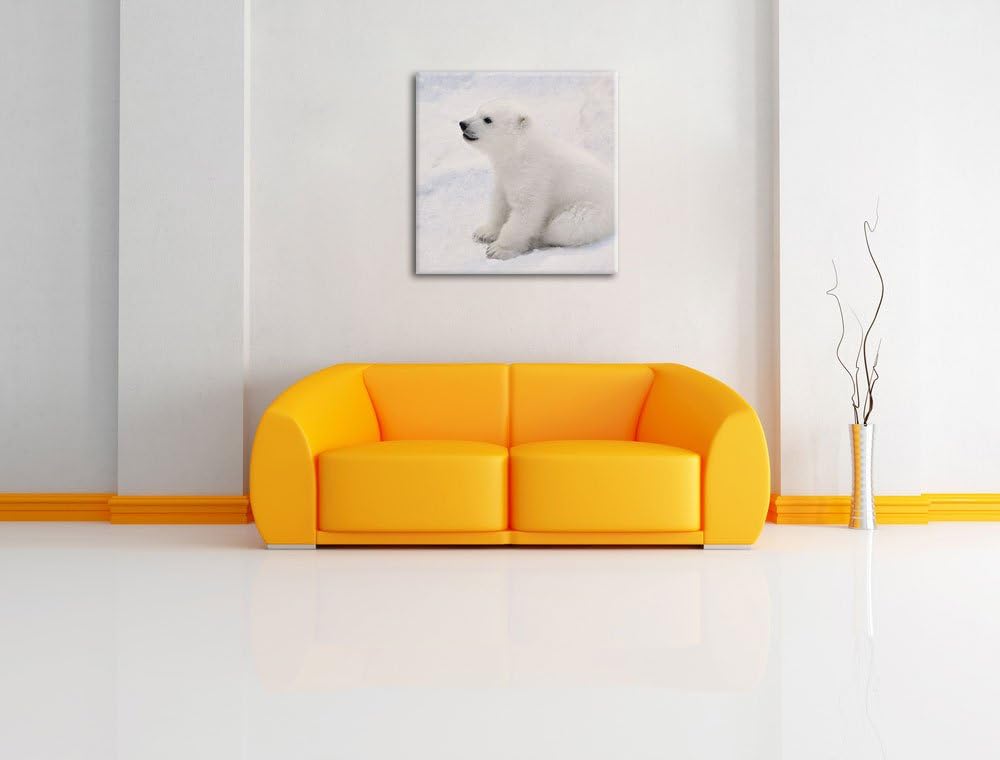 niedliches Eisbär Baby, Format: 70x70 auf Leinwand, XXL riesige Bilder fertig gerahmt mit Keilrahmen